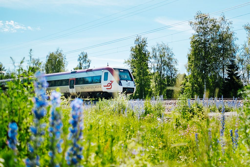 Regina i sommarmiljö.